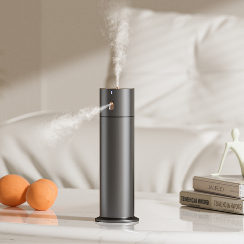 Dual-exit Two-Fluid Aromatherapy Essential Oil Diffuser